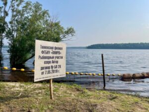 Сотрудники «Харампурнефтегаза» приняли участие в выпуске молоди ценных видов рыб в водоемы Обь-Иртышского бассейна